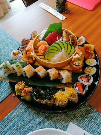 Yokozo Japones Covilha